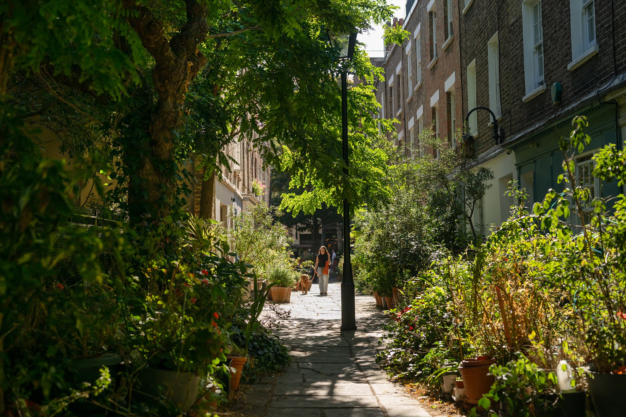 Colville Place